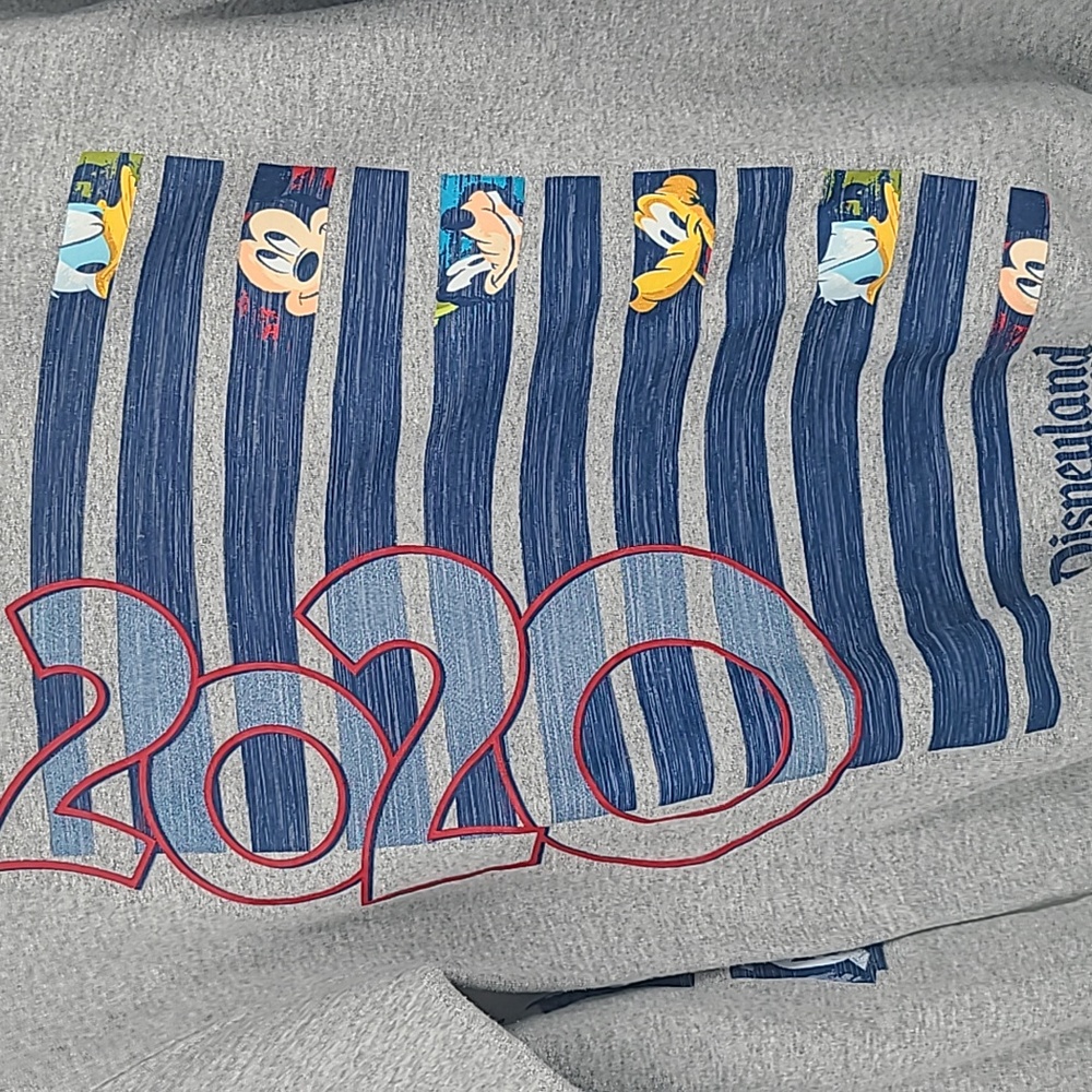 Disneyland resort 2020 crewneck sweatshirt gray small unisex - Picture 3 of 8